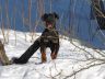 3 Леекюр Герада-2016.JPG