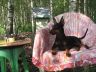 9 Леекюр Фактура-2014_1.JPG