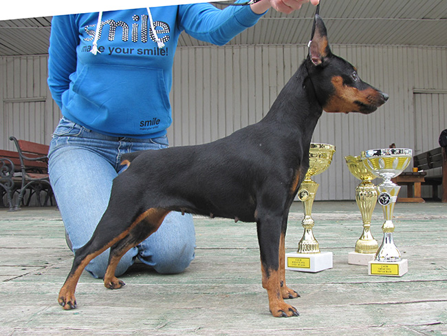 RUMBA